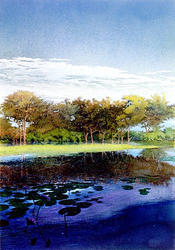 Yellow Waters, Australia